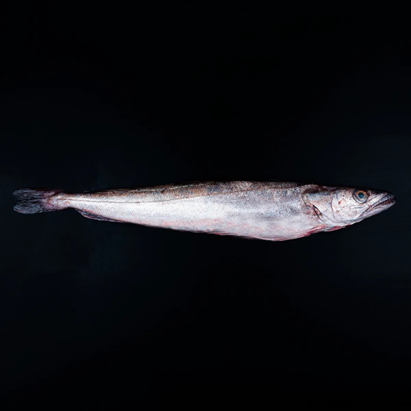 kulmule
