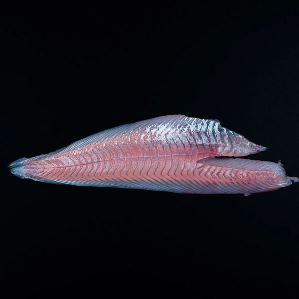 mørksej-fillet